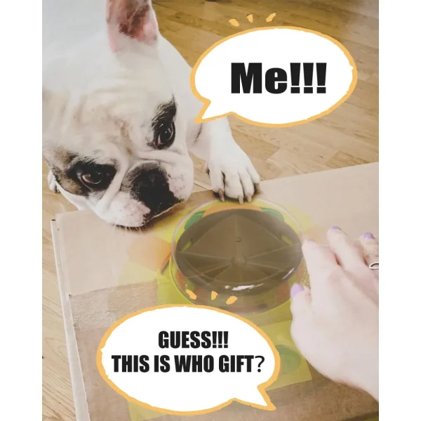 Interactive Puzzle Toy for Dogs Enrichment Pet Slow Feeder Dispenser for Dry Food and Treat Dispenser (All Breed Sizes) - Image 3