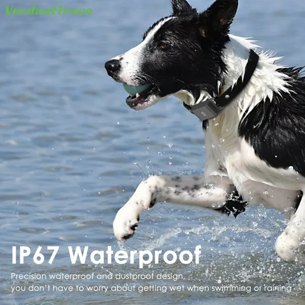 IP67 Waterproof Mini 4G GPS Animal Tracker Collar Anti-Lost Real Time Tracking Dog Cat Locator Pet Dog Cat Fashion Neck Collar - Image 4