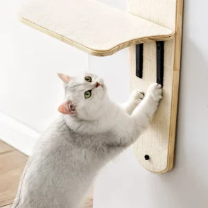 A MEWOOFUN Cat Hanging Bed Easy Assembly Pet Climbing Frame Cat Climbing Tree Tower Cat Toys Pet Supplier US Stock