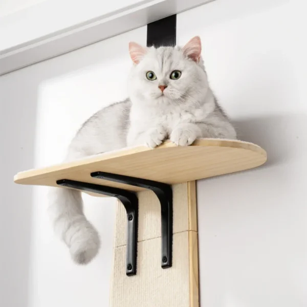 A MEWOOFUN Cat Hanging Bed Easy Assembly Pet Climbing Frame Cat Climbing Tree Tower Cat Toys Pet Supplier US Stock - Image 6