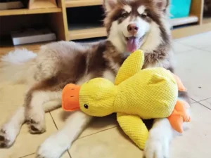 Durable Duck Plush Toy