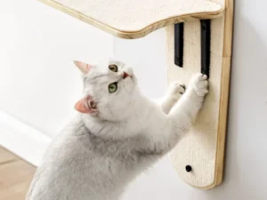 Premium Wall-Mounted Cat Lounge